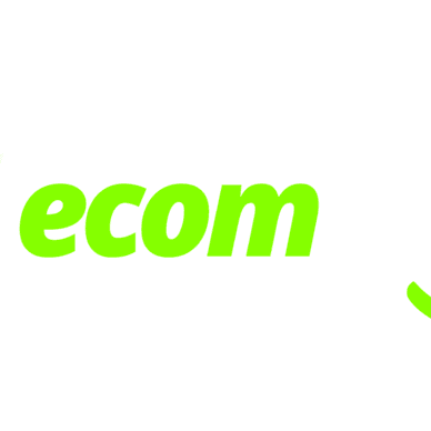 Free Shopify Dropshipping Course